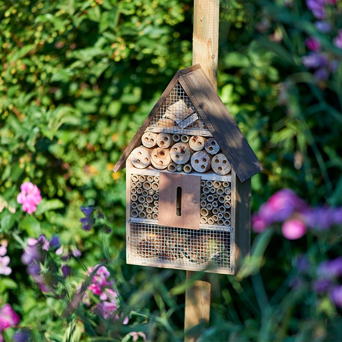 Lag en hage for bier, samtidig som du får finere blomster og planter