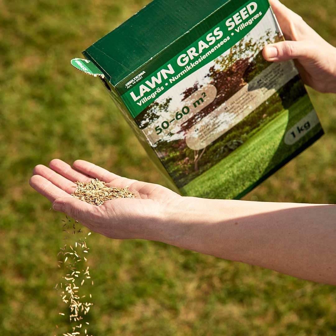 Grønnere plen – tips for å få en fin gressplen